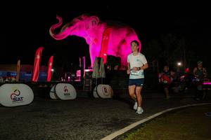 BIB: 
                            <button type="button" onclick="openModal(26534433)" class="btn btn-primary btn-sm float-right btn-popup" data-toggle="modal" data-target=".modal-high-quality">
                        <i class="fas fa-shopping-cart"></i> Add to Cart
                    </button>
                                            <button type="button" onclick="isThisMe(26534433, true)" class="btn btn-success btn-sm float-right btn-popup btn-isme hidden" data-toggle="tooltip" data-placement="bottom" title="นี่คือรูปของคุณใช่ไหม คลิกที่นี่เพื่อเอาเข้าอัลบั้ม">
                        <i class="fas fa-plus"></i> Add to album
                    </button>
                    <button type="button" onclick="isThisMe(26534433, false)" class="btn btn-warning btn-sm float-right btn-popup btn-isnotme hidden">
                        <i class="fas fa-ban"></i> Remove from album
                    </button>